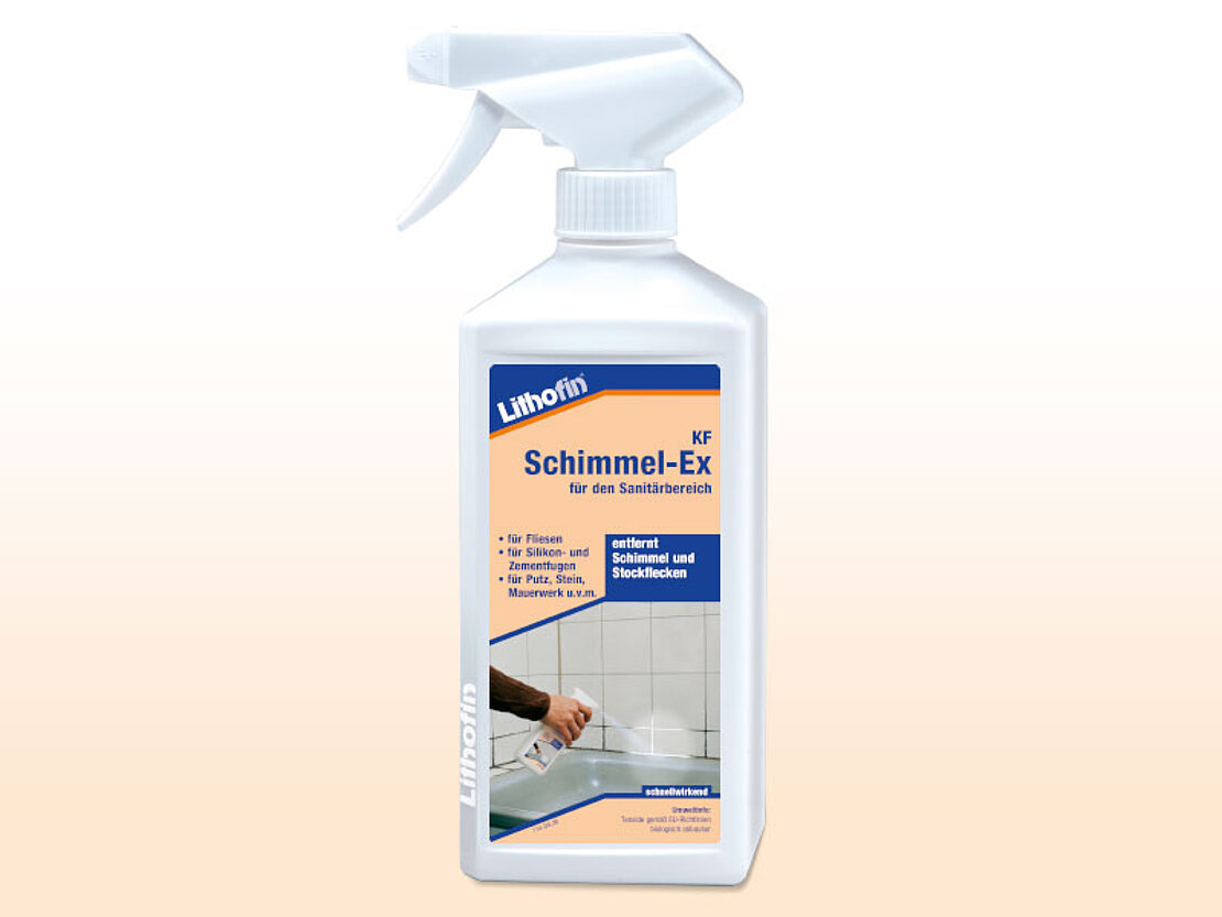 Lithofin KF Schimmel-Ex